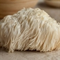 Online Gourmet Mushroom Cookery Class - Mushroom Used in Cookery