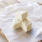Cheese Making Experience - Goats Cheese