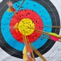 Target Archery Bristol Target Archery Board