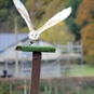 Birds of Prey Experiences at Knockholt near Sevenoaks