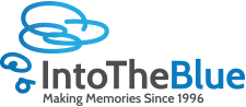 Into The Blue Logo