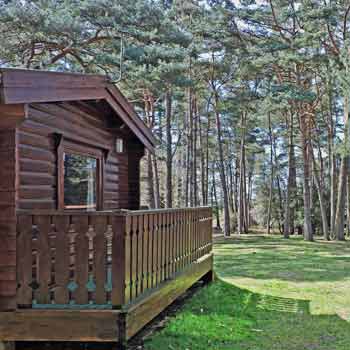 New Forest Lodges Avon Tyrell Outdoor Activity Centre Wood