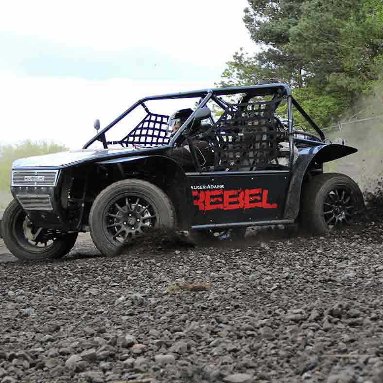 rebel buggies