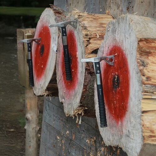 Axes in the target  Axes in the target