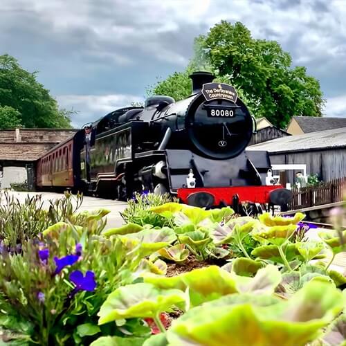 Themed Steam Train Afternoon Teas in Derbyshire Themed Steam Train Afternoon Teas in Derbyshire