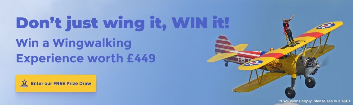Wing Walking Competition