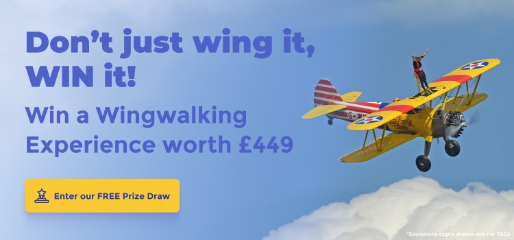 Wing Walking Competition