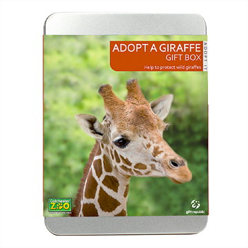 Adopt a Giraffe - Giraffe Adoption Gifts with Into The Blue | Prices ...