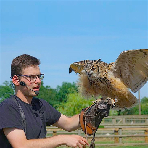 Falconry Experiences, Birds of Prey Days & Hawk Walks. Meet & fly ...