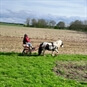 Two Wheeler Horse Cart Driving Experience on the Escrick Park Estate in Yorkshire