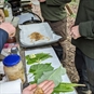 Autumn Wild Foraging Course East Sussex - Creating from Foraged Plants