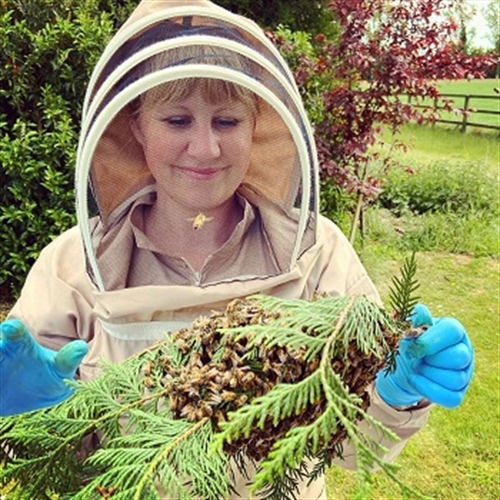 Beekeeping Courses & Experience Days Near You Into The Blue