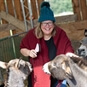 Feeding The Donkeys