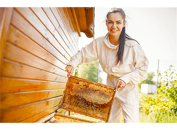 beekeeping beekeeping