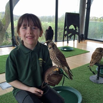 Junior Zookeeper Experience - Millets Farm Zoo Keeper For Kids | Prices ...