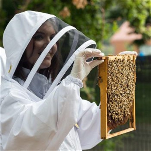 Beekeeping Courses & Experience Days Near You Into The Blue